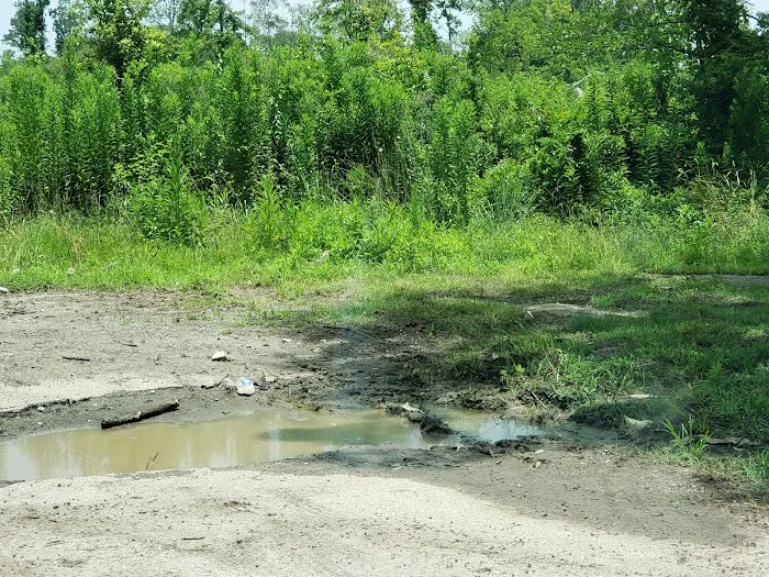 Diboll Picture 6