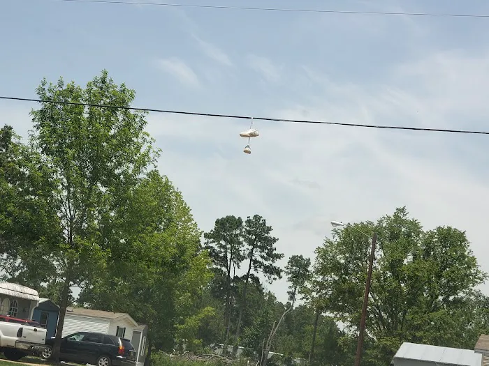 Diboll Picture 7