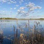 Woodlawn Resort & Campground