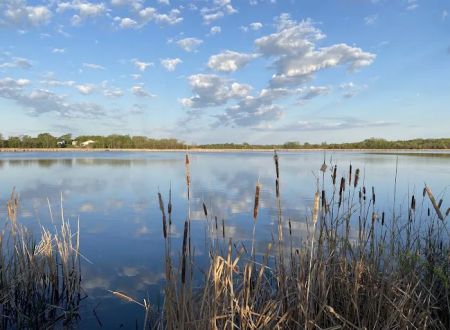 Woodlawn Resort & Campground