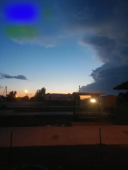 Shady Lane Rv Park Picture 2