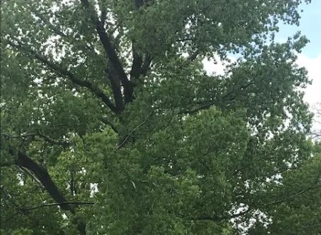 Cottonwood Grove RV Campground