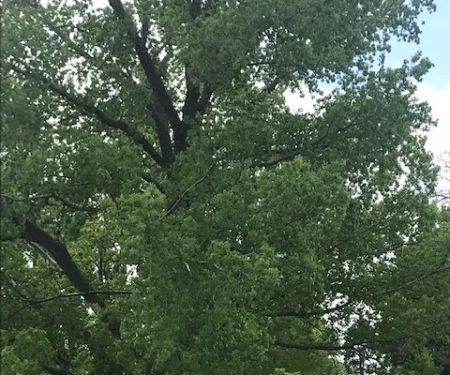 Cottonwood Grove RV Campground