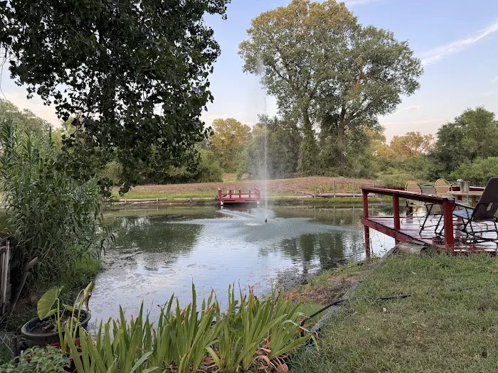 Pete's Puddle RV Resort Picture 10
