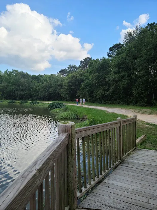 Lakeview Park & Beach Picture 4