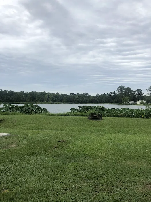 Lakeview Park & Beach Picture 6