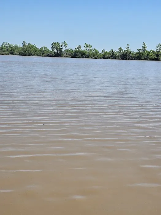 MYERS LANDING RV PARK Picture 5