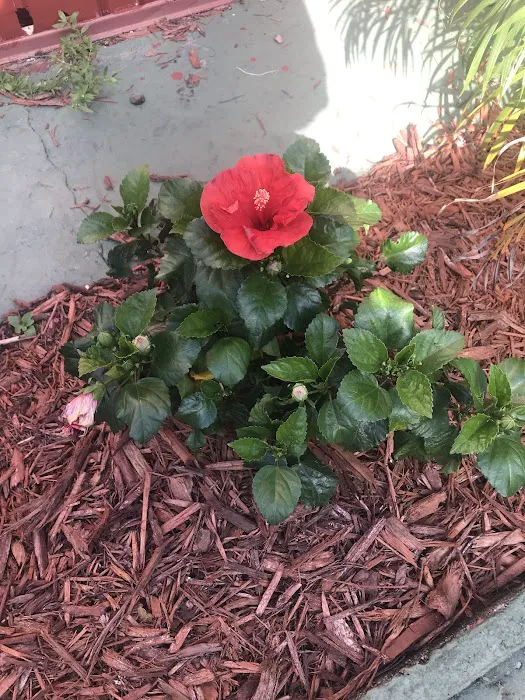 Honey Hill Mobile Home Park Picture 10