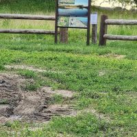 Bow Creek Primitive Campsite ico