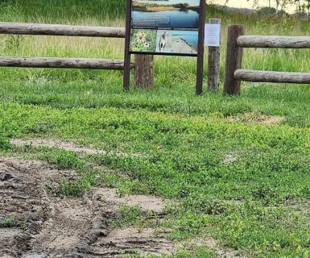 Bow Creek Primitive Campsite