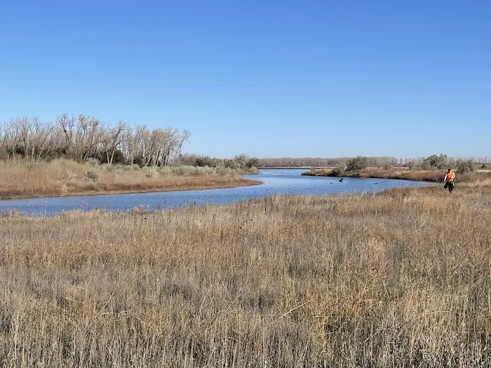 Bow Creek Primitive Campsite Picture 5