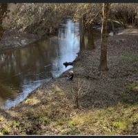 Flat Creek RV Park ico