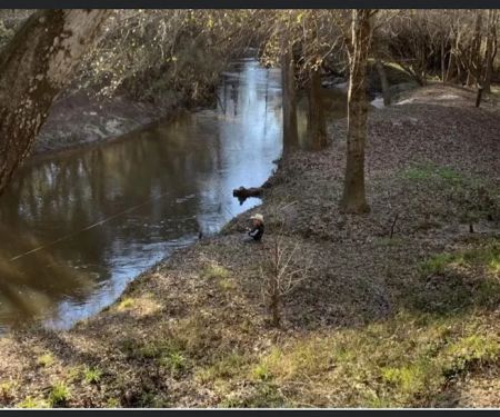 Flat Creek RV Park