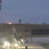 Deer Crossing RV Park Waco, TX ico