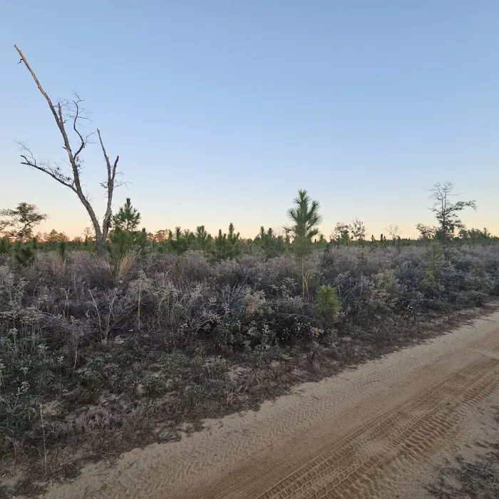 Kepner Campground - Eglin Picture 6