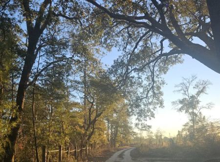 Kepner Campground - Eglin
