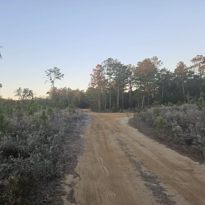 Kepner Campground - Eglin Picture 4