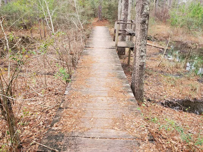 Conecuh National Forest Open Pond Recreation Area Picture 10