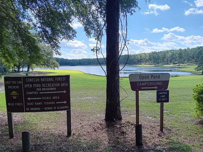 Conecuh National Forest Open Pond Recreation Area Picture 5