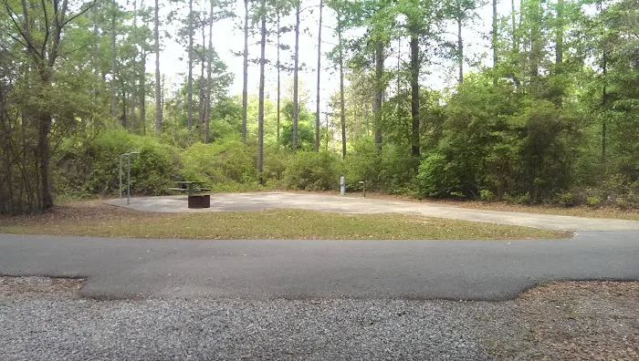 Conecuh National Forest Open Pond Recreation Area Picture 8