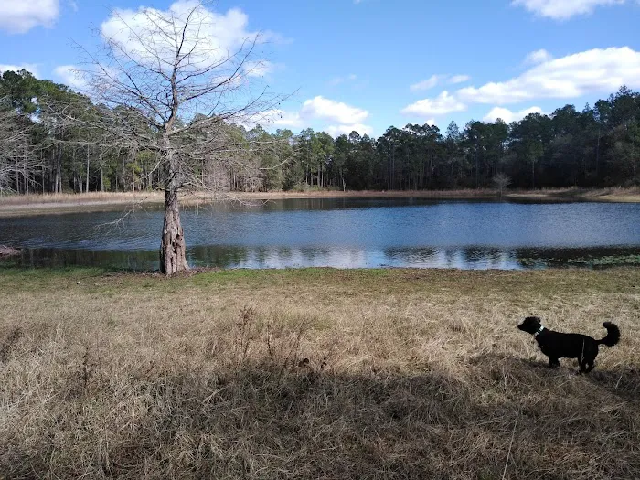 Conecuh National Forest Open Pond Recreation Area Picture 9
