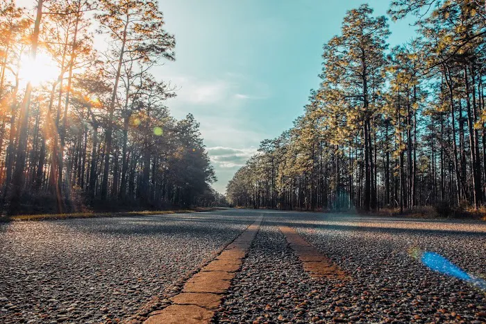 Conecuh National Forest Open Pond Recreation Area Picture 4