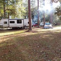 Conecuh National Forest Open Pond Recreation Area ico