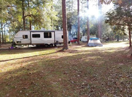 Conecuh National Forest Open Pond Recreation Area