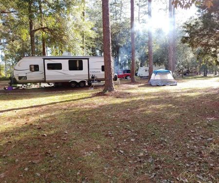 Conecuh National Forest Open Pond Recreation Area