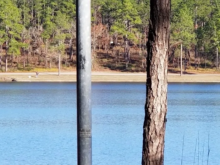 Conecuh National Forest Open Pond Recreation Area Picture 3