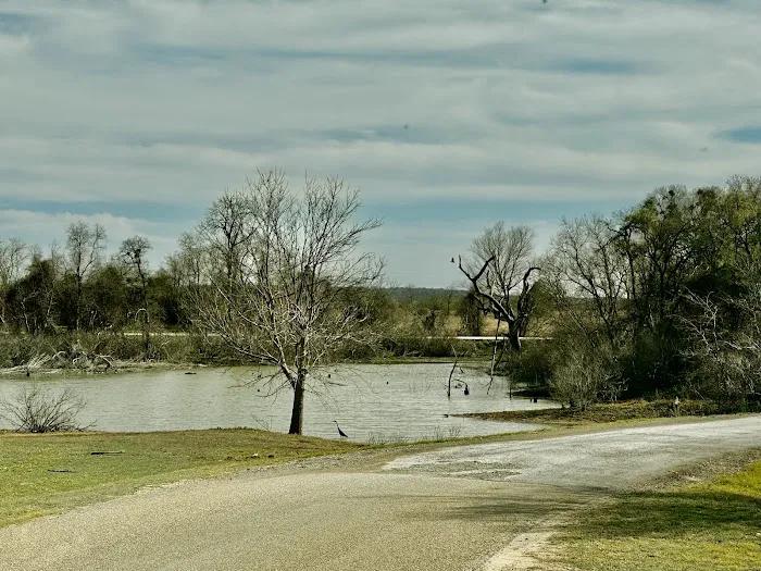 Lake Waco Marina and RV Campground Picture 3