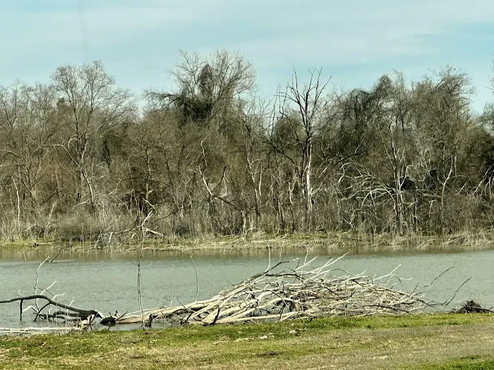 Lake Waco Marina and RV Campground Picture 9