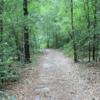 Camp Okaloosa ico