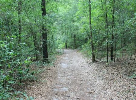 Camp Okaloosa