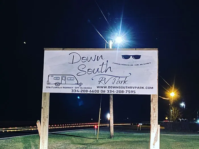 Down South RV Park and Music Fest Picture 2
