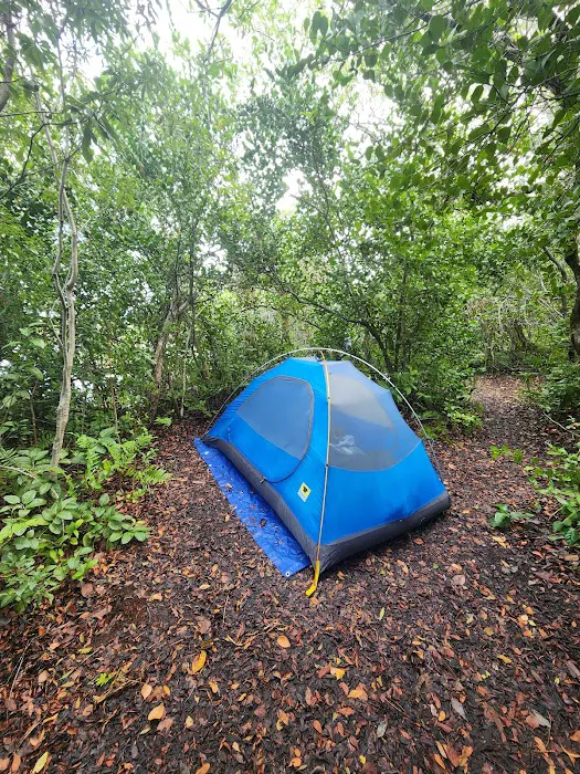Lard Can Campsite Picture 8