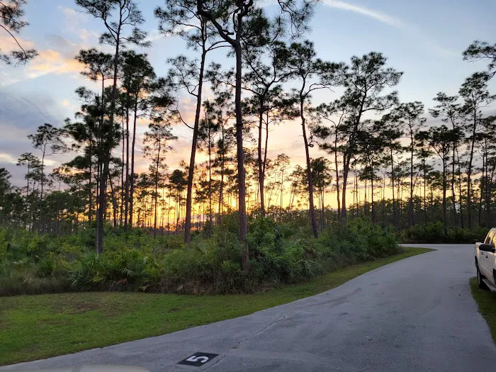 Long Pine Key Campground Picture 2