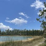 Long Pine Key Campground