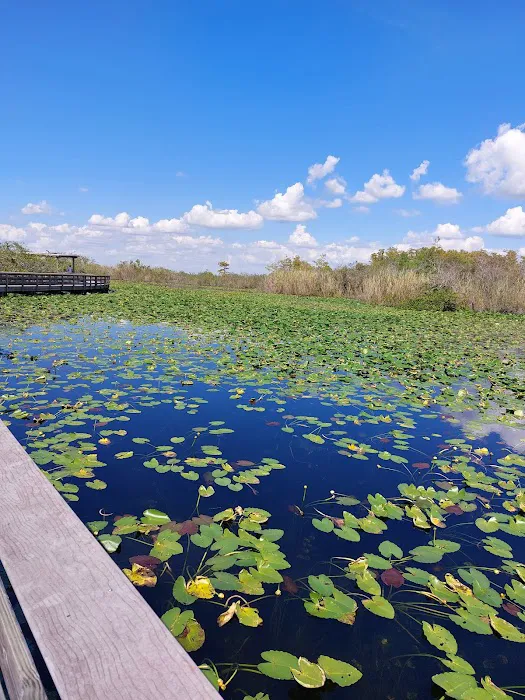 Long Pine Key Campground Picture 10