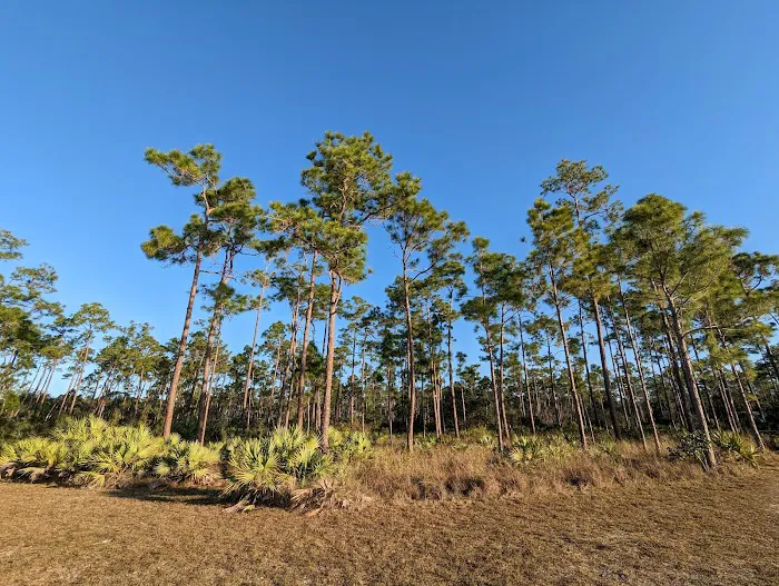 Long Pine Key Campground Picture 6