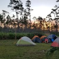 Camp Everglades (BSA) ico
