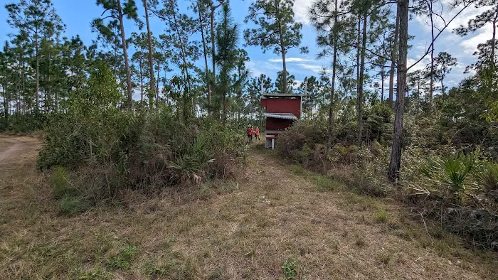 Camp Everglades (BSA) Picture 5