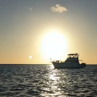 Middle Cape ico
