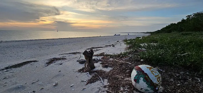 Middle Cape Picture 5