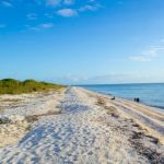 East Cape Campsite