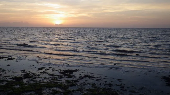 East Cape Campsite Picture 9