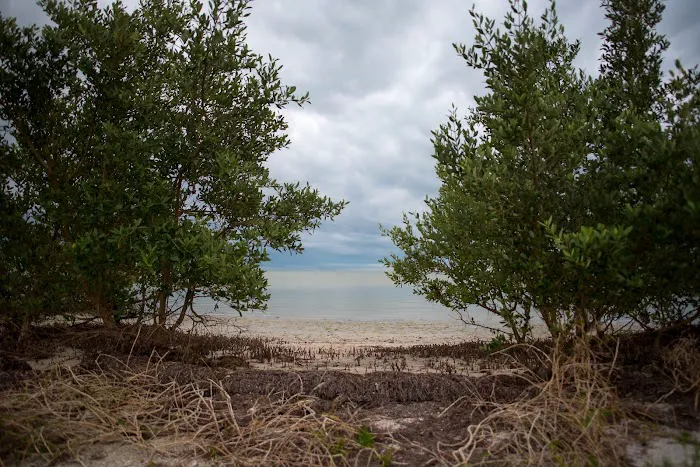 East Clubhouse Beach Picture 5