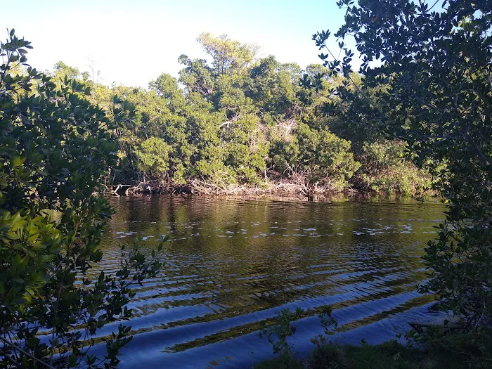Flamingo Campground T Loop Picture 3