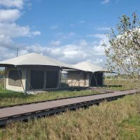 Flamingo Eco-Tent Campgrounds ico