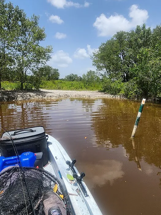 Alligator Creek Campsite Picture 1